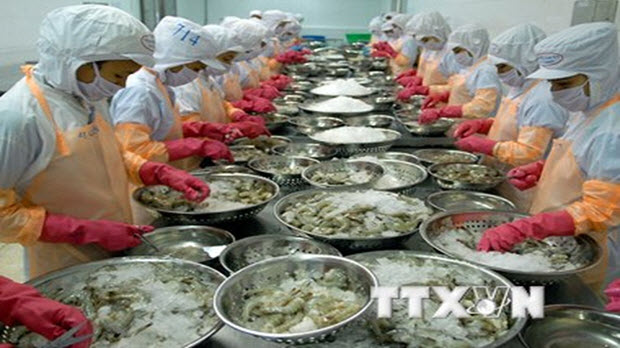 Kim ngạch xuất khẩu tôm Việt Nam sang Mỹ đạt hơn 176 triệu USD